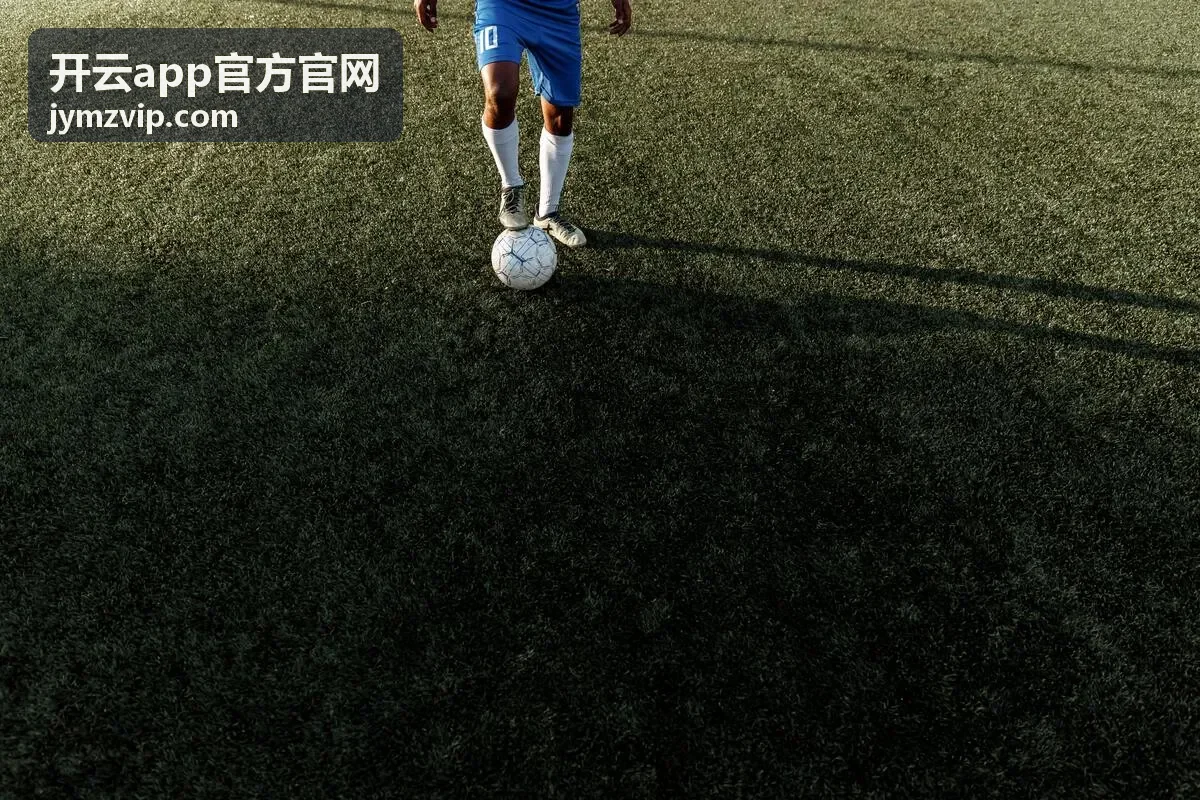 开云app官方官网热播剧集海报